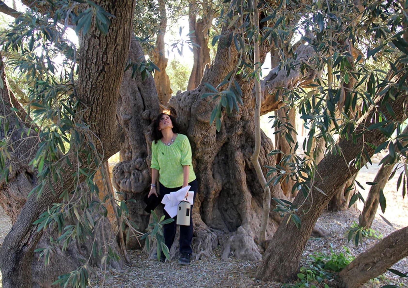 People gathered beneath the branches of an ancient tree